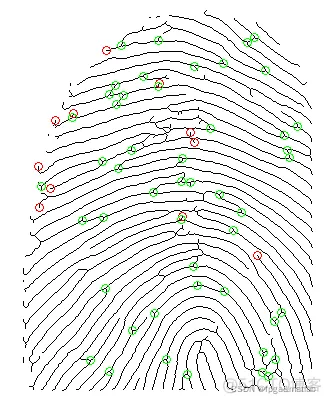 【指纹识别】基于MATLAB/FPGA的指纹识别算法仿真实现_指纹识别_09